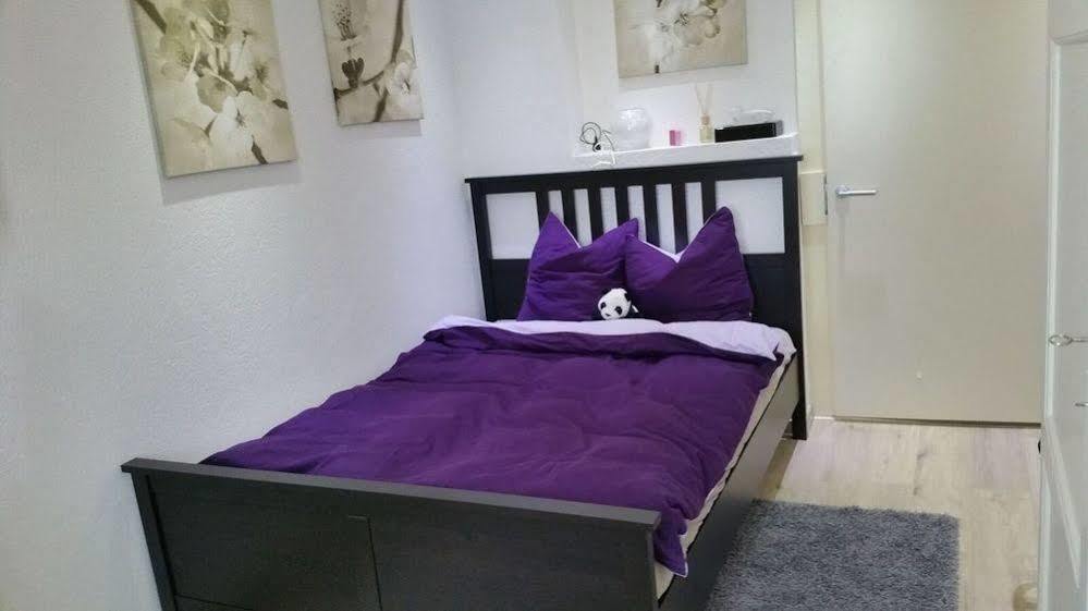 Max Aviation Villa & Apartments Берн Екстериор снимка